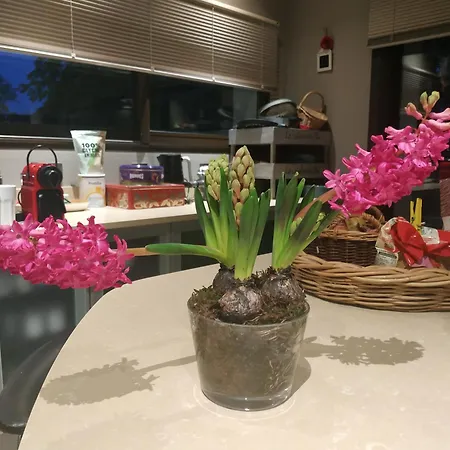 Appartement Campagne En